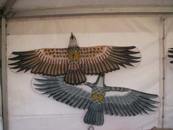Aigle016