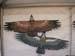 Aigle016